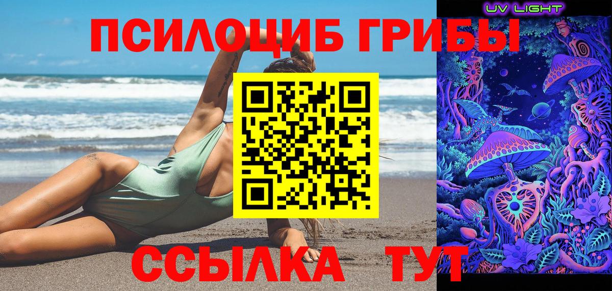 Донской  Псилоцибиновые грибы мухоморы  Вход с VPN 