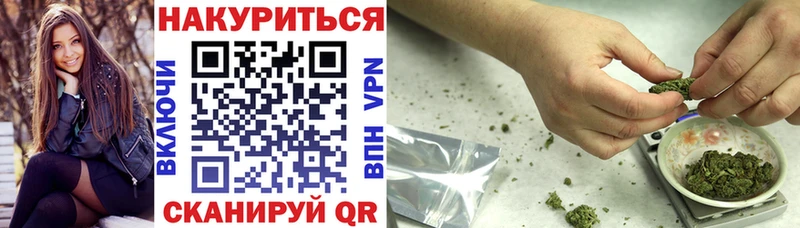 где найти   Донской  Марихуана гибрид 